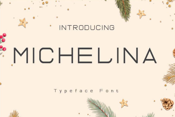 Michelina Font for Modern Business Branding
